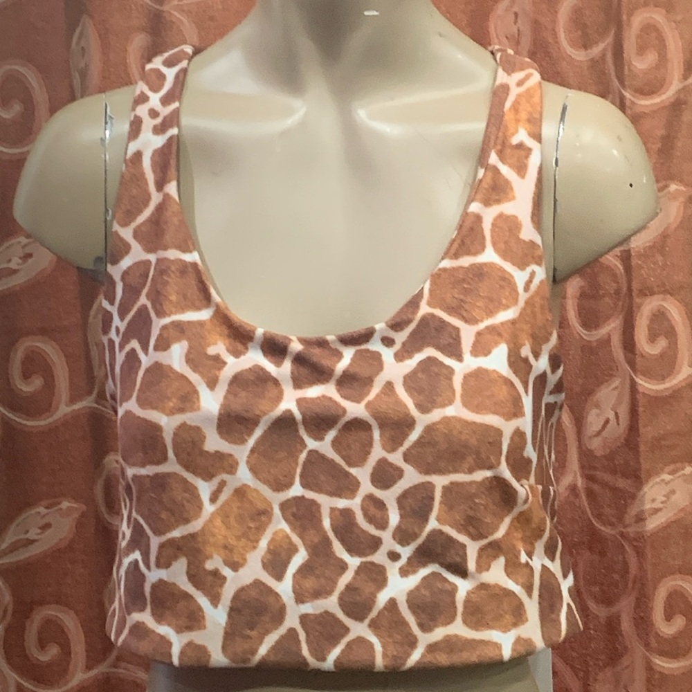 ❤️ NWT evolution and creation sports bra